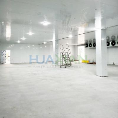 China Refrigeration Unit Industrial Walk in Blast Deep Freezer Food Storage Cold Room