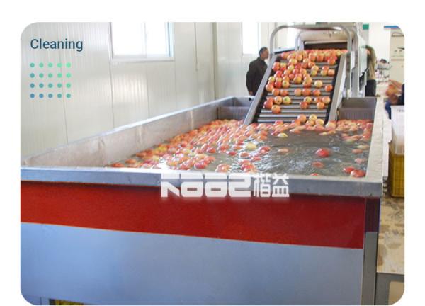 2.2Kw Automatic Fruit Sorting Machine Vegetable Grading Equipment