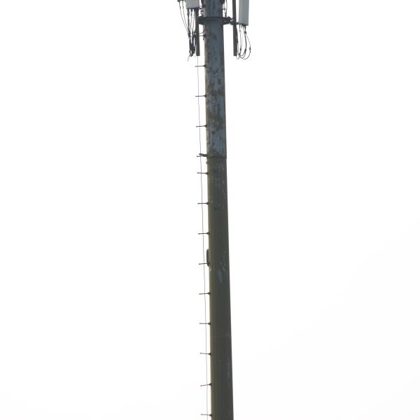 Polygonal Galvanized Telecom Monopole Hot Dipped Cellular Tower Without Working Platform