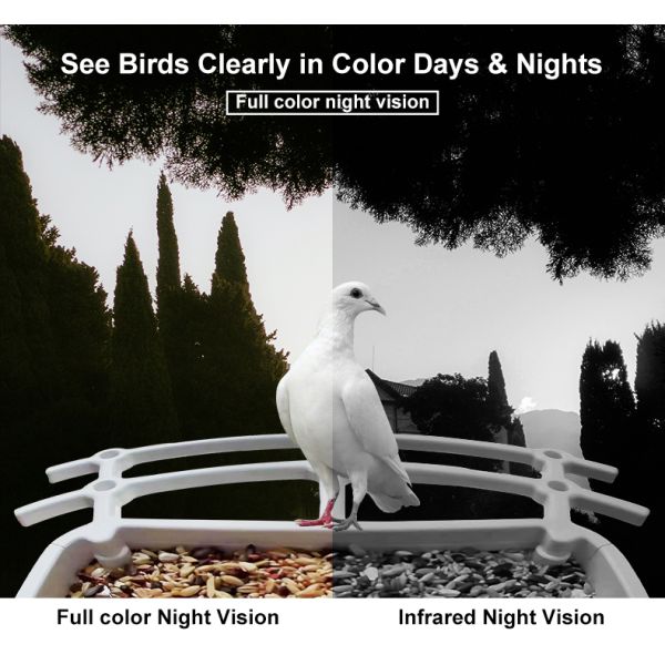 IP66 impermeable 4MP Smart Bird Feeder 2.5L Vida silvestre cámara inteligente para pájaros