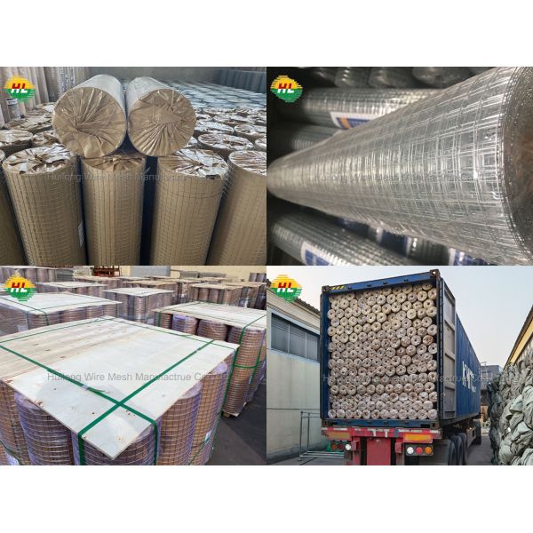 Зеленым 1/4inch покрытое винилом 36inx50ft сварило крен ячеистой сети для ограждать вокруг курятника, бега, и садов