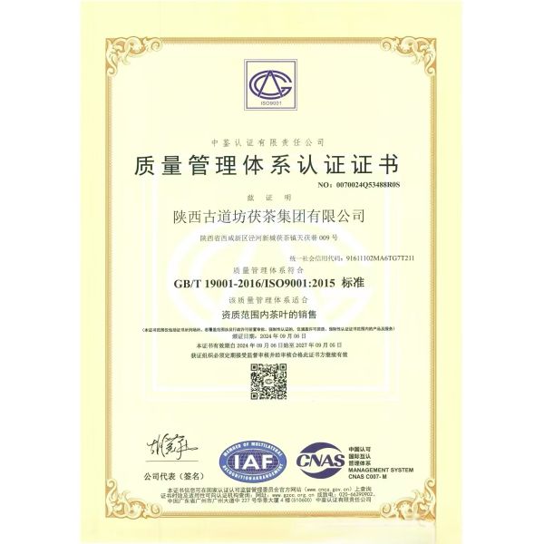 500g Chinese Dark Tea The Ultimate Solution for a Flatter Tummy and Better Nutrition in Xi'an