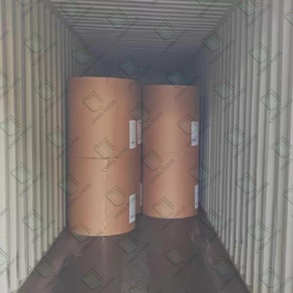 Papel de palha de coquetel biodegradável