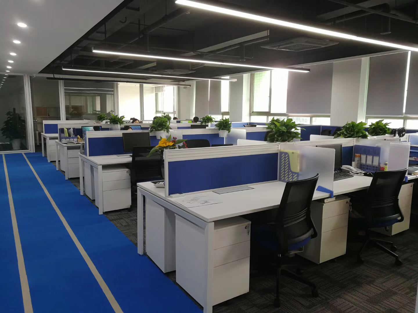 Guangdong BSMC New Material Co., Ltd.