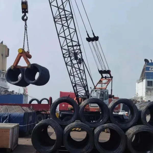 5.5mm 6.5mm Ms Cables Q195 SAE1006 SAE1008 Cables de acero a bajo carbono