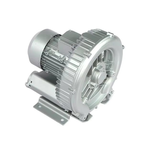 Fábrica mayorista 0.2KW Blower de canal lateral de etapa única bomba de aire Pesca acuicultura