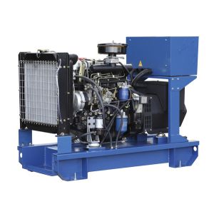 Indursty Bank Perkins 10kw Diesel Generator With IEC34 Standard