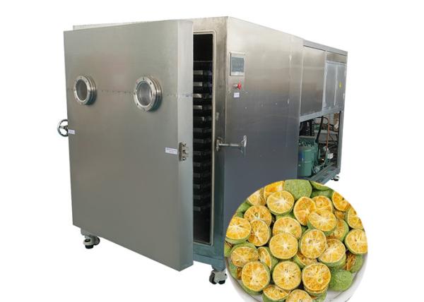 Alpine Food Vegetable Freeze Dryer Breast Milk Versatile -50C-80C