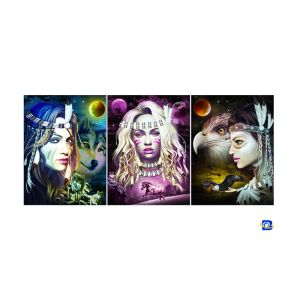 Сальто слоения фильма линзовидное, дюймы плаката 12x17 перехода тройки 3D линзовидные