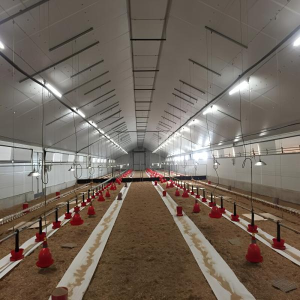 Maison de charpente en acier léger et peu coûteux, bâtiment agricole en acier préfabriqué