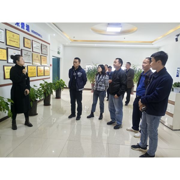 Chongqing Huanxiang Industrial. Co., Ltd.