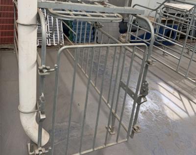 porco da largura de 0.65m/0.60m que aumenta a casa de parada do equipamento para a resistência ácida dos porcos