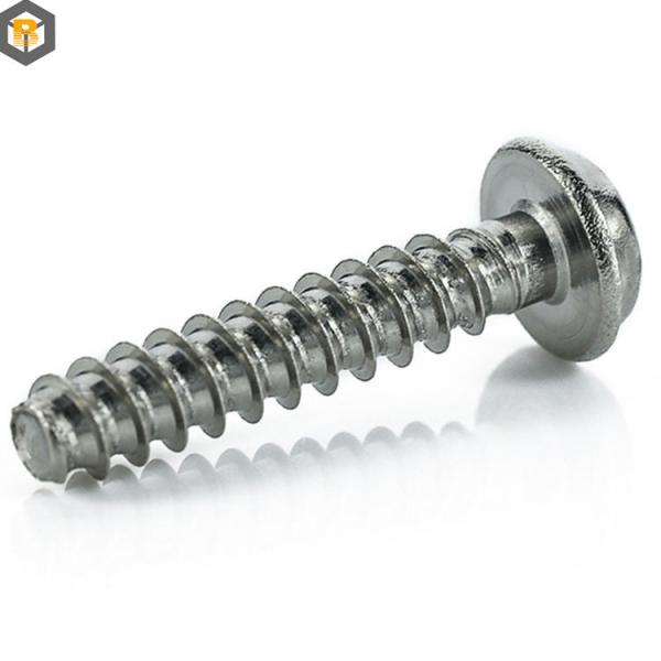 M6 Screws M5*16 Self Tapping Screw Special Fasteners Spare Part with Polishing Finish