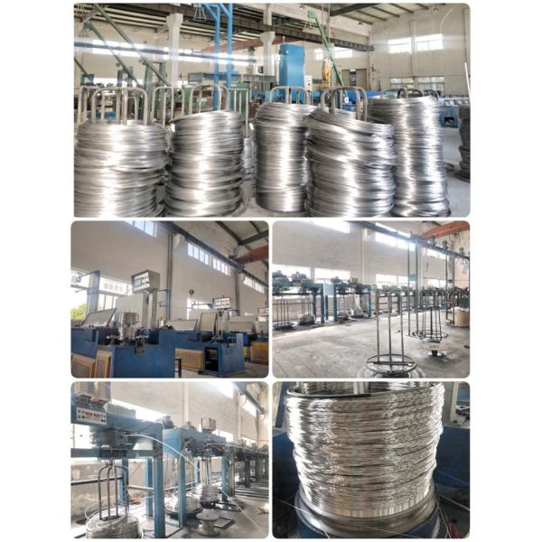 RosH Certified 1.2mm 304 Stainless Steel Spring Wire with Bright Coating and Soap-coated Finish