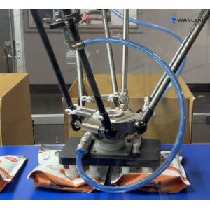 Waylead Flexible Robot Arm Casebox Packer Packing Machine