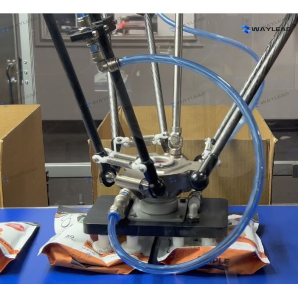 Waylead Flexible Robot Arm Casebox Packer Packing Machine