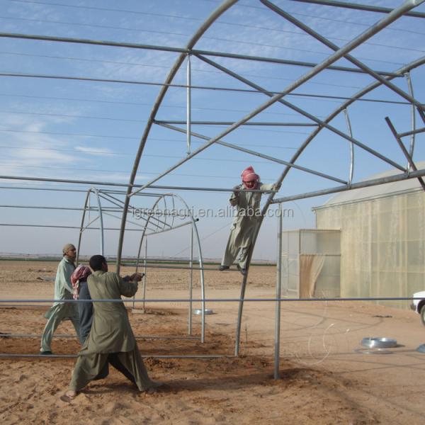 10m Width Tunnel Light Deprivation Greenhouse Single Layer With Galvanized Steel Pipe