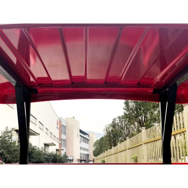 250cc DAYANG 12V прочный 3-колесный мотоцикл для Замбии 2022 Автомобиль доставки быстрого питания