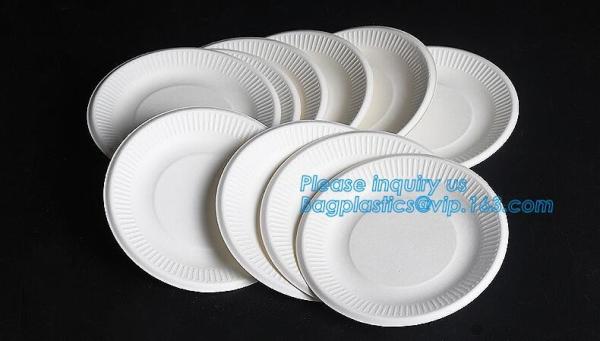 eco sugarcane pulp disposable biodegradable plate,Factory 100% Biodegradable Disposable Sugarcane Paper Raw Material Com