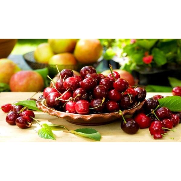 Biostimulants Leonardite Potassium Humate 80% Fulvic Acid 50% Black Flake