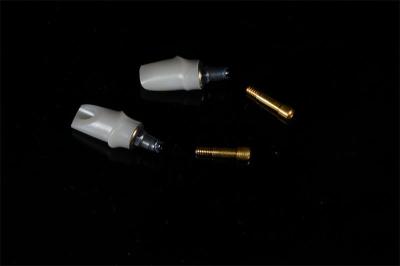 Dental Surgical Cement Retained Implant Abutment Titanium OEM