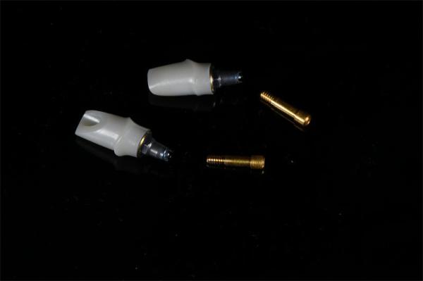 Dental Surgical Cement Retained Implant Abutment Titanium OEM