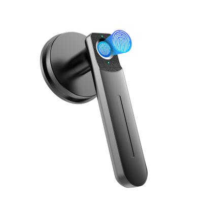 Fechadura de porta biométrica, fechadura de porta de impressão digital, fechadura de porta de entrada sem chave com alça, fechadura de porta inteligente de 100 impressões digitais