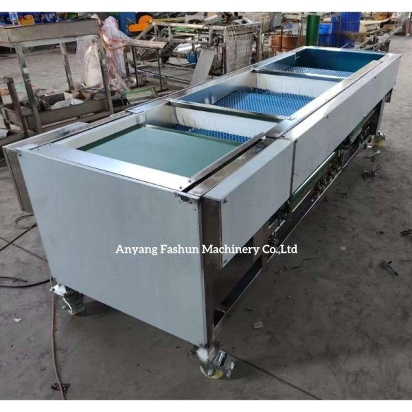 Olive sorting machine, olive grading machine, olive classification machine