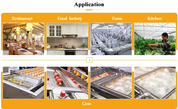 SUS304 Stainless Steel Bubble Vegetable Washing Machine For Carrots Potatoes Ginger Apples