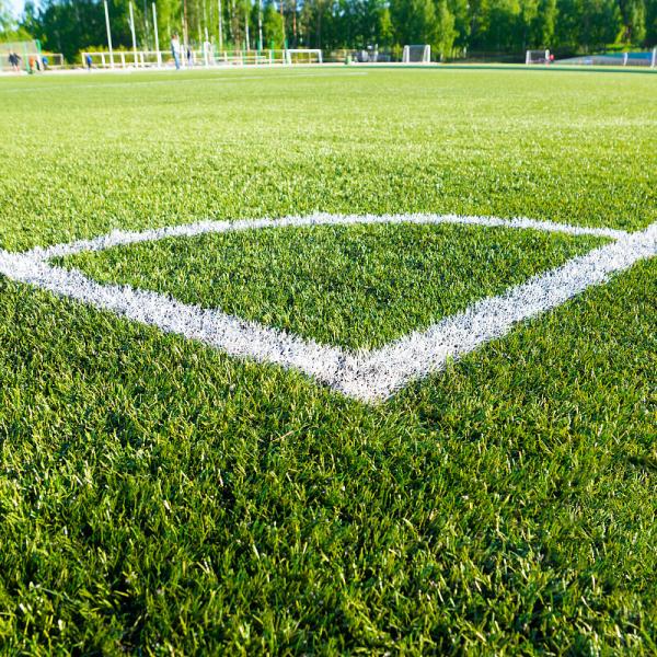 14000 Dtex Artificial Turf Grass Anti UV Realistic Garden Fake Grass