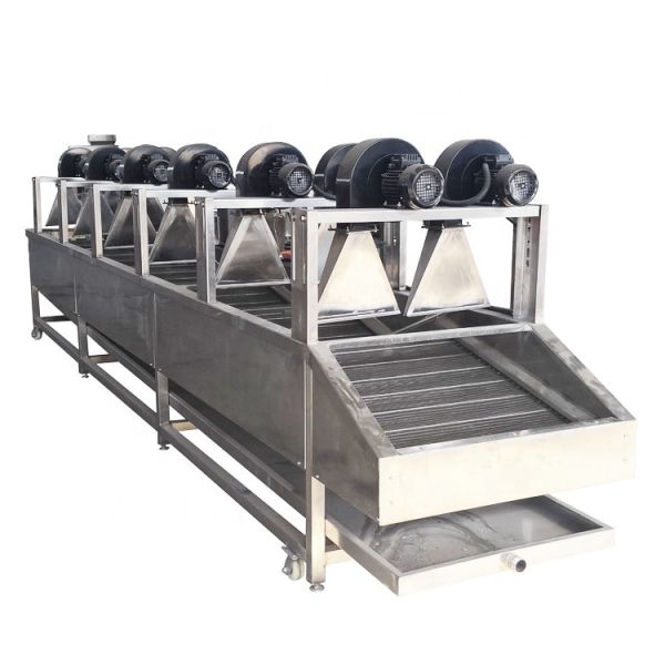 Continuous Fruit And Vegetable Processing Line Dehydrated Dried Equipment