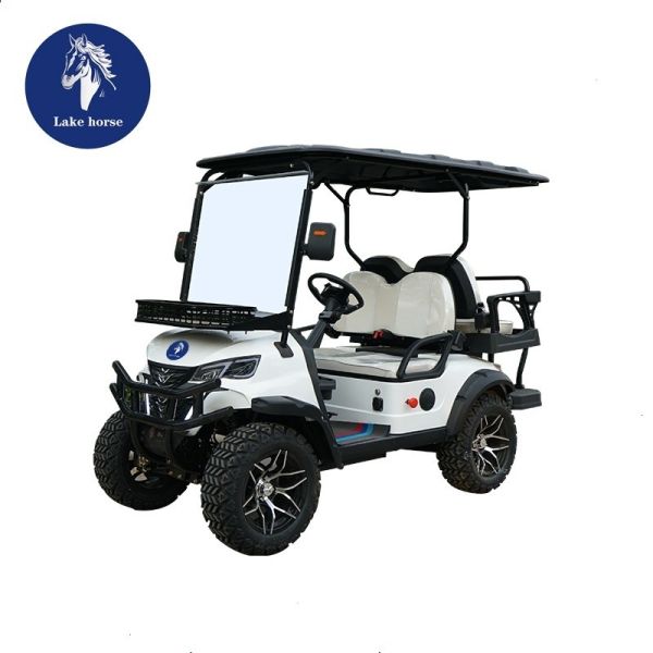 Lake Horse Electric Golf Cart with Buggy Car Tour Tire Front Disc Rear Drum Brake System