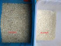 High Efficiency Automatic Mineral Sorting Machine For Quartz Stone 1000kg/H