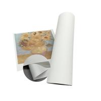 Preço da fábrica Inkjet Polyester Canvas Roll 280gsm Matte Canvas Para Impressão Inkjet