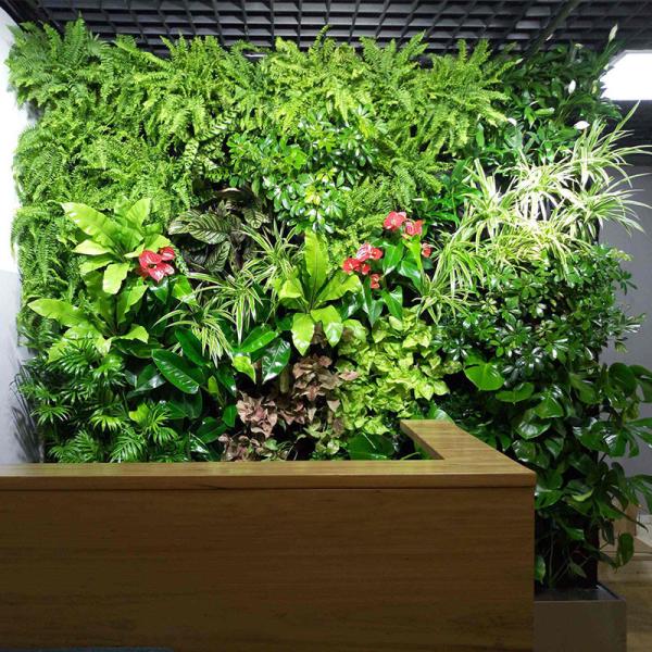 Anti esverdeamento vertical UV decorativo, parede artificial HAIHONG da planta