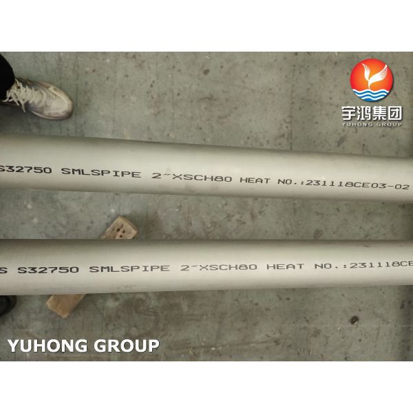 Water Treatment ASTM A790 UNS S32750 Seamless Super Duplex Stainless Steel Pipes