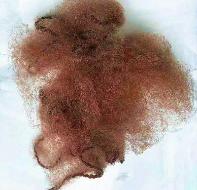 Fixação elástica 18 19 21 22 24 do cabelo da peruca de Mesh Invisible Hair Net For da borda