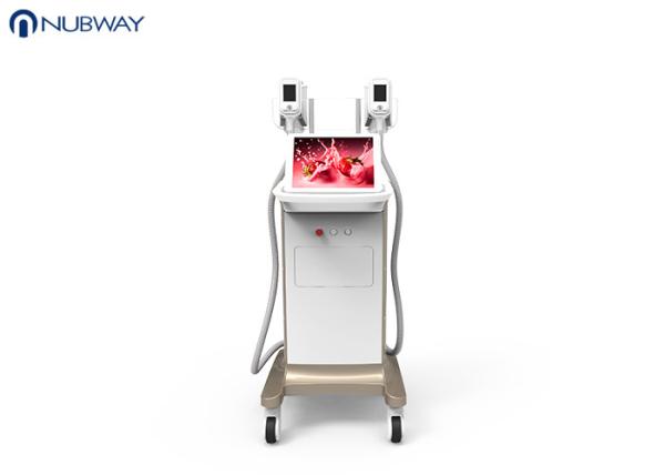 -15oC low temperature cool sculpting cryoliplysis body slimming  weight loss machine
