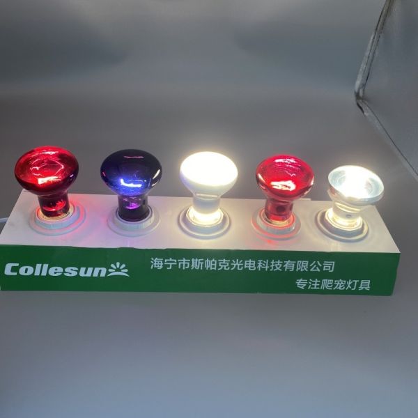 OEM R63 R80 60W 75W Uva Uvb Heat Bulb For Reptile And Amphibian