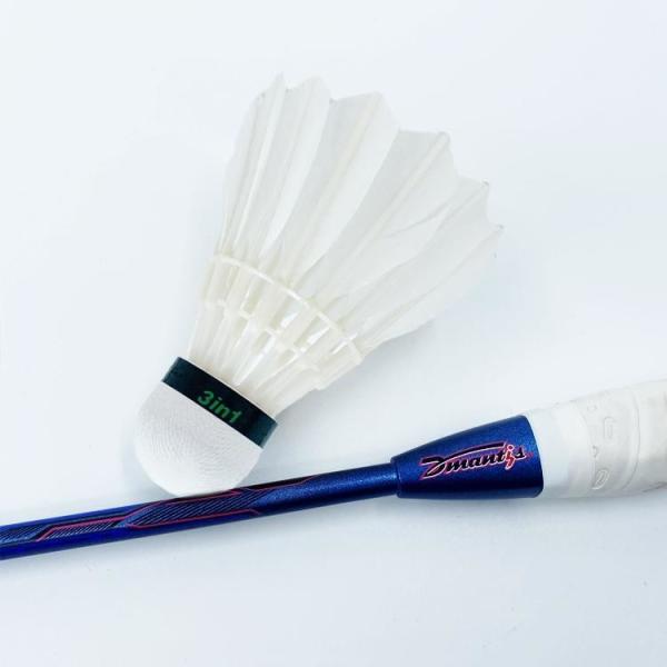 Dmantis D7 Model China Factory Supply Training Equipment Badminton Racket for Professional Player for E