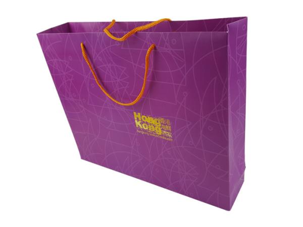 Custom Logo Gold Hot Stamping Purple Color Printing 300G Matte Art Paper Material OEM Design Paper Bag