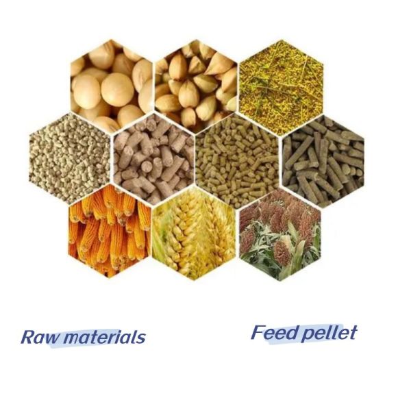Лепешка птицы корма для животных кормит поголовье машины лепешки питания запаса завода 1-12mm