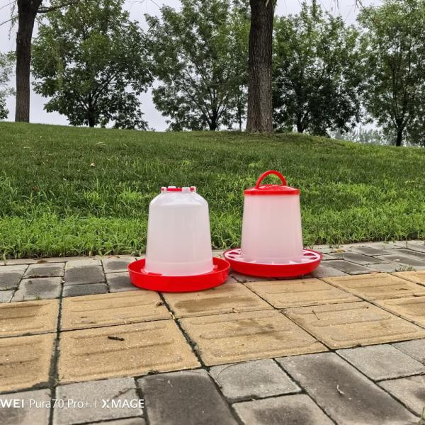 Cylinder Poultry Feeder For Chickens Ducks Geese Turkeys