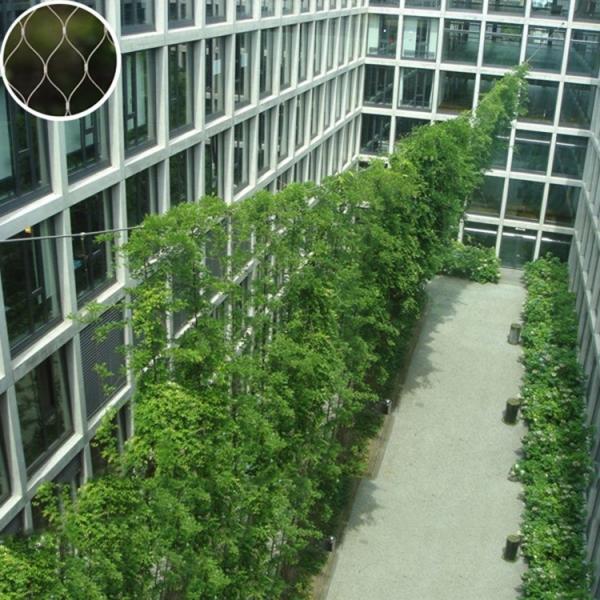 Flexible Plant Climbing Net SS316 Green Wall  7X7 Wire Rope Plant Trellis