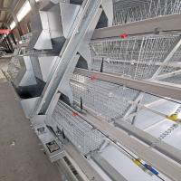 Gaiola de bateria de 180 pássaros para grelhas e produtos de exploração avícola dos pintainhos do bebê