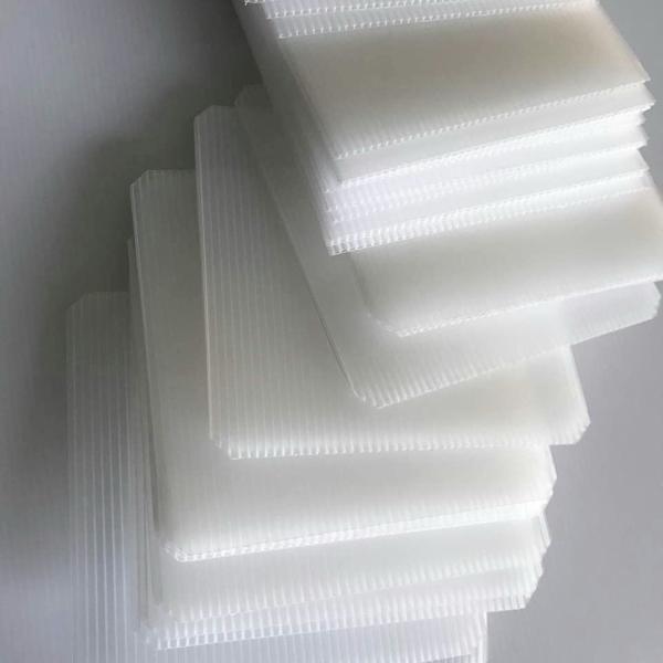 Lightweight White Polypropylene Sheets Impact Resistant White Plastic Boards Customized