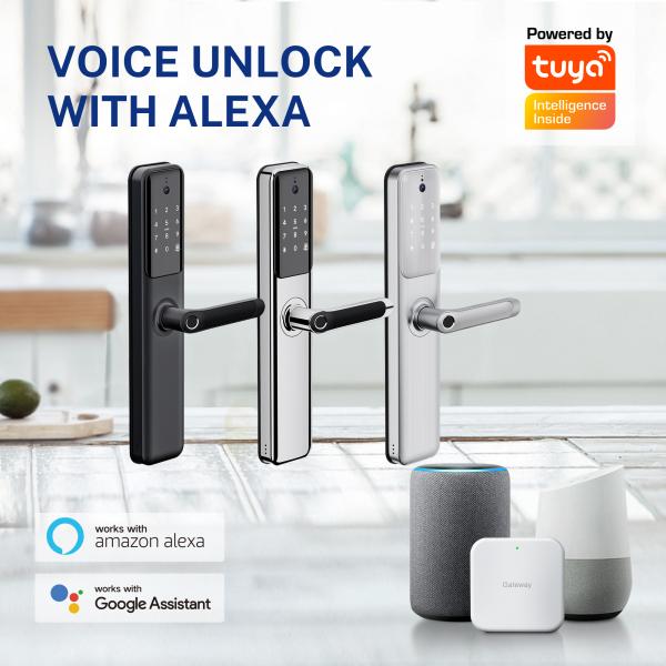 Tuya Smart Door Lock with 3D Face Recognition WiFi Bluetooth