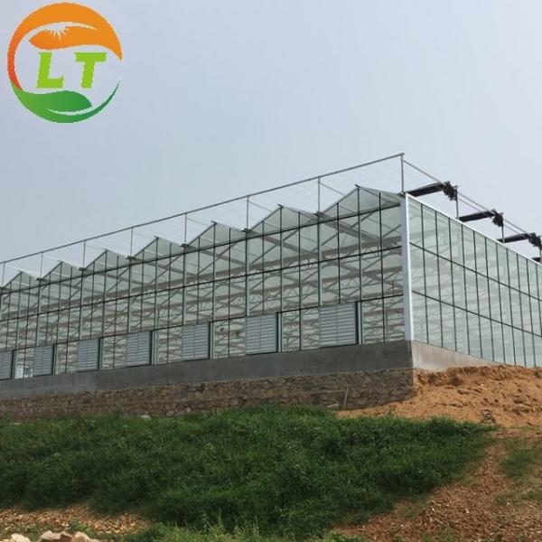 Sistema de ventilação superior e lateral Grande estufa de vidro para jardim