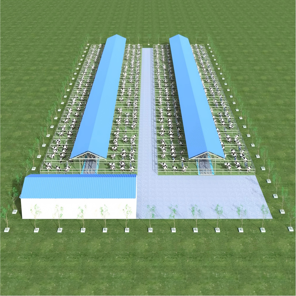 Prefabricated Steel Structure Cattle Shed for Dairy Farm