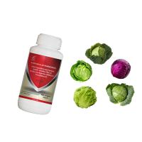 Insecticide spécial pour insectes AcNPV gère les maladies des légumes crucifères
